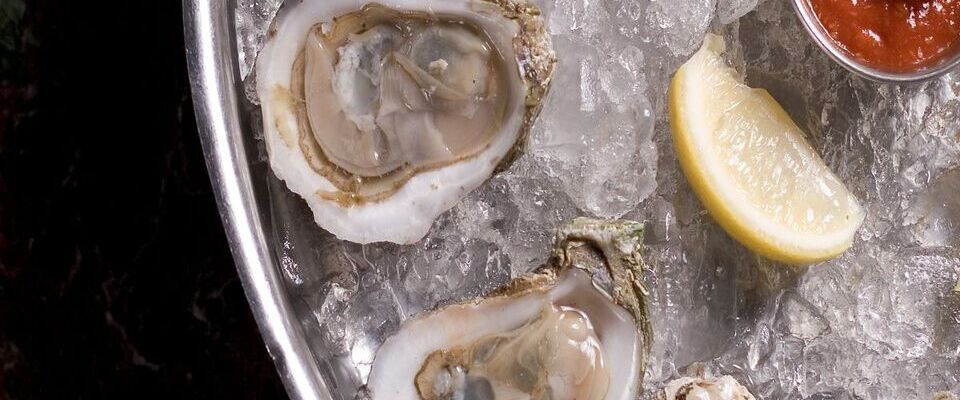 Oyster Farms