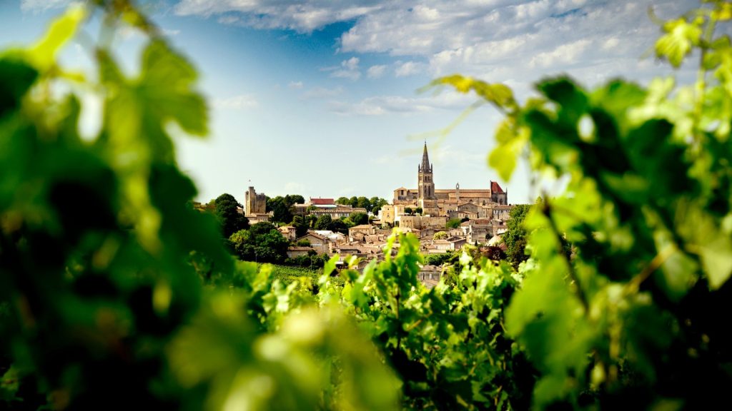 The village of Saint-Émilion seen through vine leaves