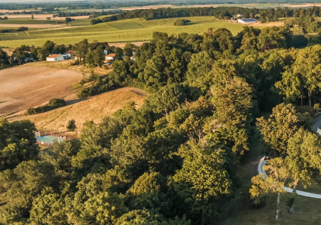 Aerial view of rolling countryside with fields and woods